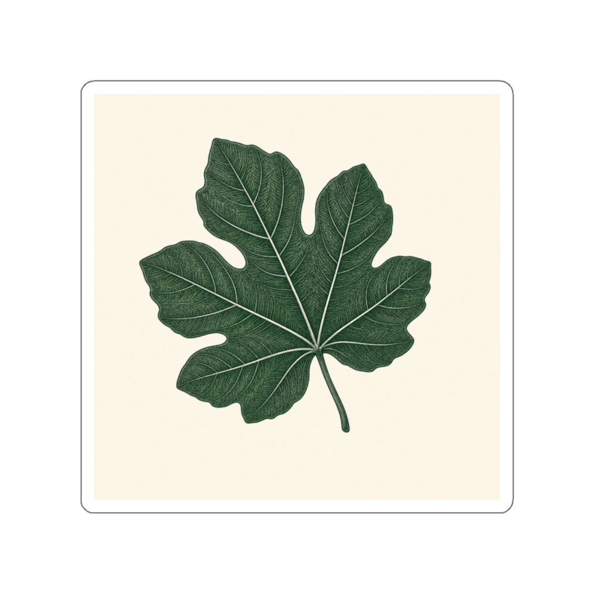 Broad Fig — Sticker