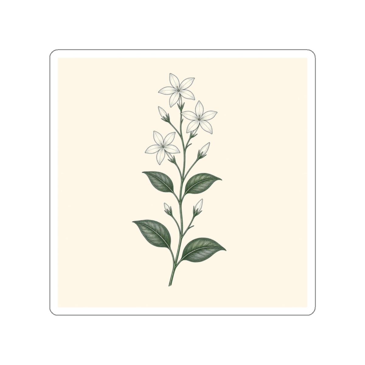 Jasmine Spray — Sticker