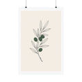 Quiet Olive — Botanical Line Art Print