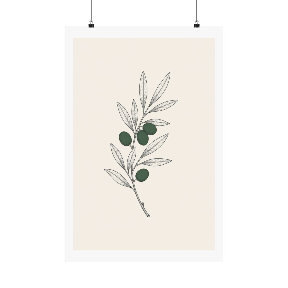 Quiet Olive — Botanical Line Art Print